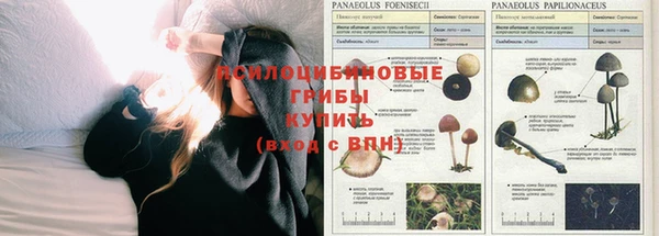 apvp Алексеевка