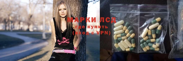 ПСИЛОЦИБИНОВЫЕ ГРИБЫ Алзамай