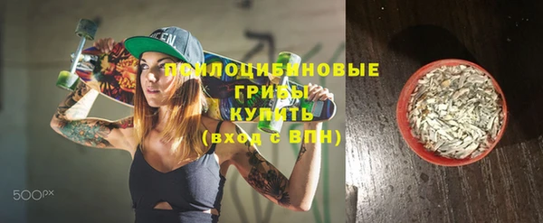 ПСИЛОЦИБИНОВЫЕ ГРИБЫ Алзамай